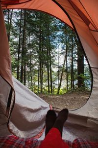Low section of person resting on field