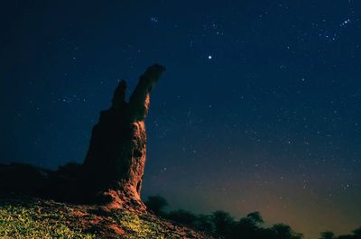 Low angle view of silhouette trees against sky at night