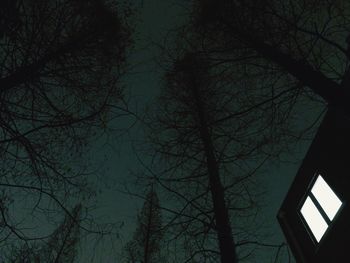 Low angle view of bare trees against sky