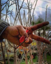 Cropped hand gesturing peace sign against plants