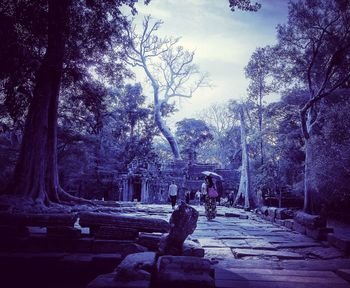 Trees on landscape against sky