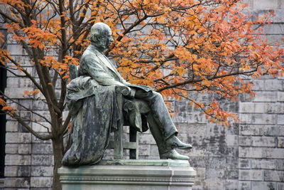 Close-up of statue by tree