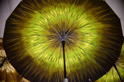 Close-up of dandelion on plant