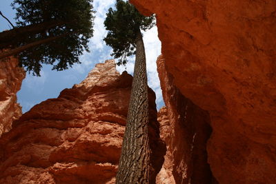 Low angle view of rock formations