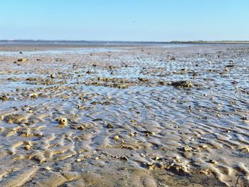Surface level of sandy beach against sky