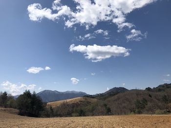 Scenic view of field against sky