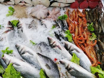 High angle view of fish for sale in market