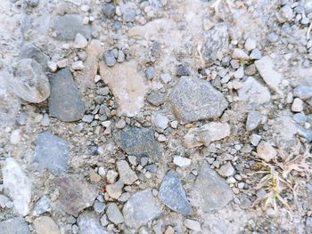 Full frame shot of stone wall