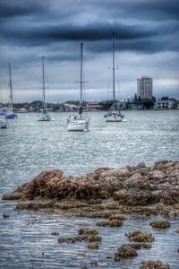 Boats moored at harbor