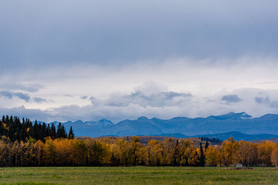 Trees on field against sky during autumn