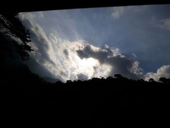 Low angle view of silhouette trees against sky