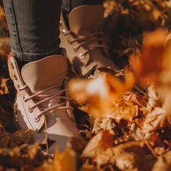 Low section of person standing on autumn leaves