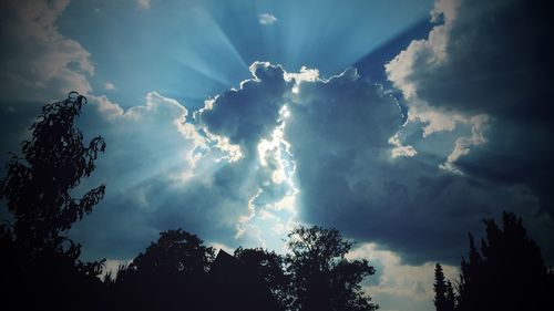 Low angle view of silhouette trees against sky