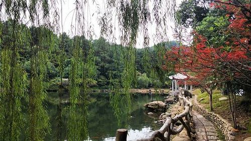 View of river with trees in background