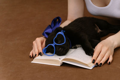 Black puppy with blue toy glasses is lying on a book