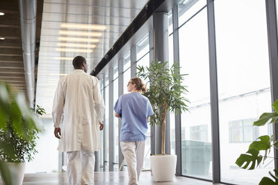 Rear view of female nurse discussing with male doctor while walking by window in corridor at hospital