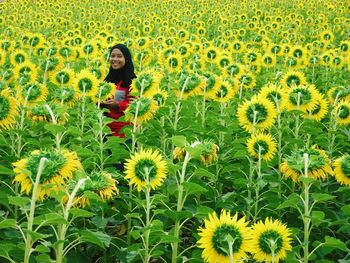 View of woman in sunflower field