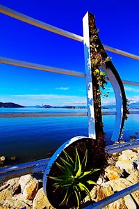 Close-up of tree by sea against blue sky