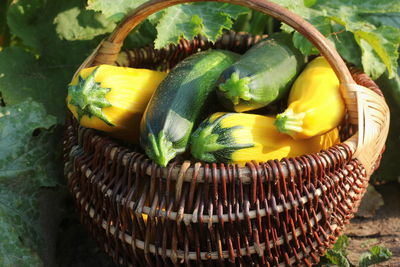 High angle view of vegetables in basket