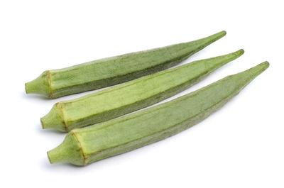 High angle view of green leaf on white background