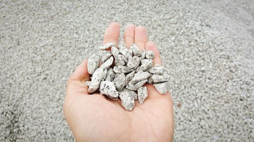 Cropped hand holding stones on field