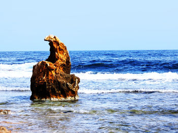 Driftwood on rock in sea against clear sky