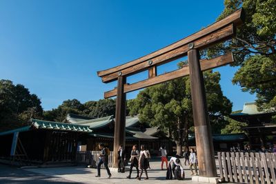 Tourists on tree against clear blue sky