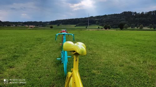 Scenic view of field against sky