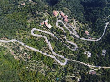 High angle view of road amidst plants