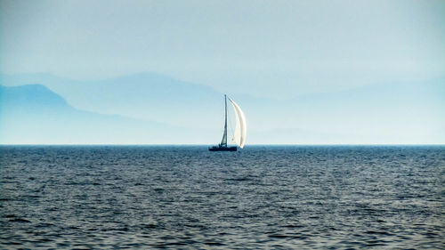 Sailboat sailing in sea against clear sky