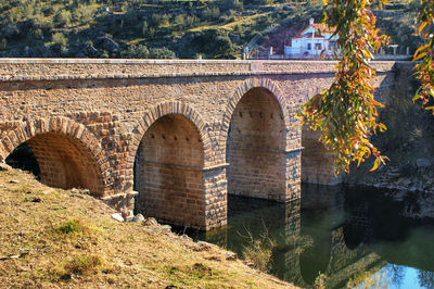 Arch bridge against plants