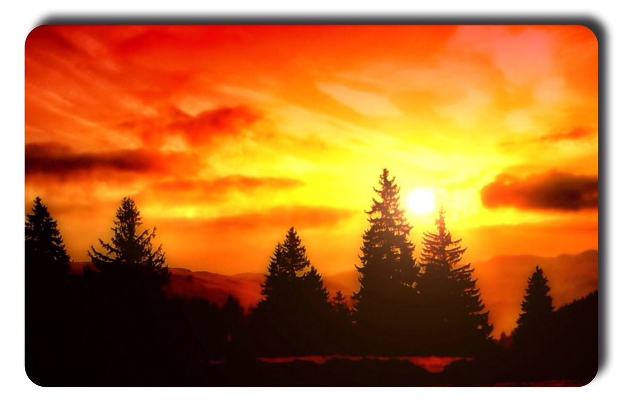 sunset, transfer print, orange color, silhouette, tree, auto post production filter, scenics, beauty in nature, tranquility, sky, tranquil scene, nature, idyllic, sun, cloud - sky, outdoors, dramatic sky, no people, landscape, growth