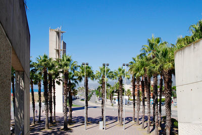 Panoramic view of palm trees and building against blue sky