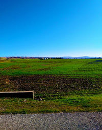 Scenic view of field against clear blue sky