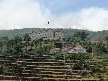 Bird flying over mountain against sky