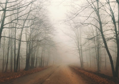 Road amidst bare trees during winter