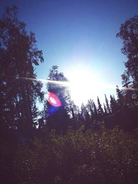 Low angle view of trees against blue sky