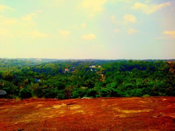 Scenic view of trees growing on field against sky