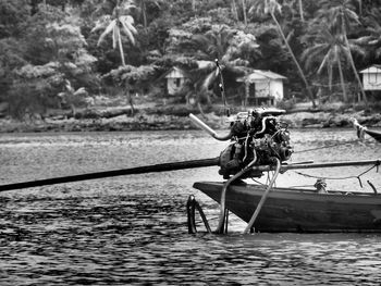 Reflection of trees in water