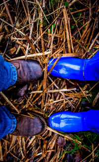 Low section of person standing on grass