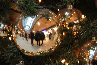 Close-up of illuminated christmas tree at night