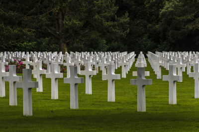 View of cemetery