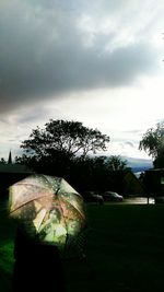 Scenic view of tree against sky
