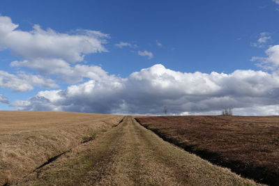 Scenic view of agricultural field against sky