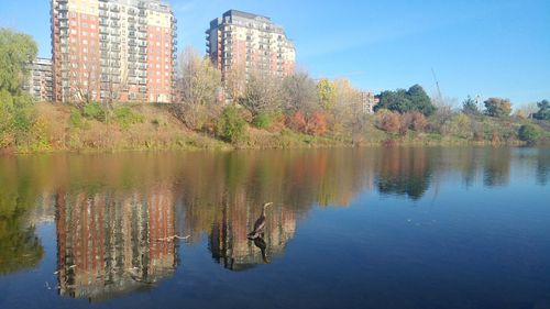 Scenic view of lake by trees against clear sky