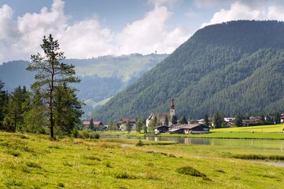 Scenic view of field against sky