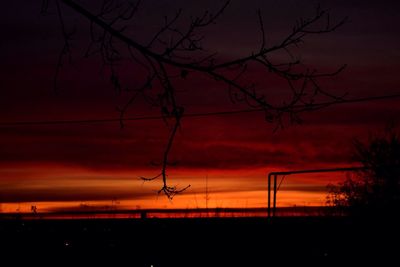 Silhouette bare tree against orange sky