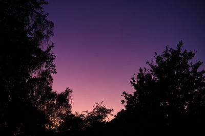 Low angle view of silhouette trees against sky at night