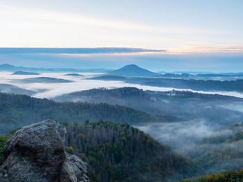 Dark green mountain forest landscape. foggy mountain forest in valley. mountain forest in clouds