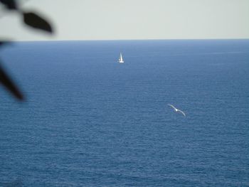 High angle view of sailboat in sea